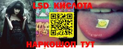 спиды Новозыбков
