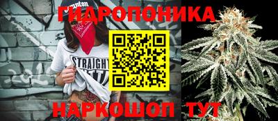 спиды Новозыбков