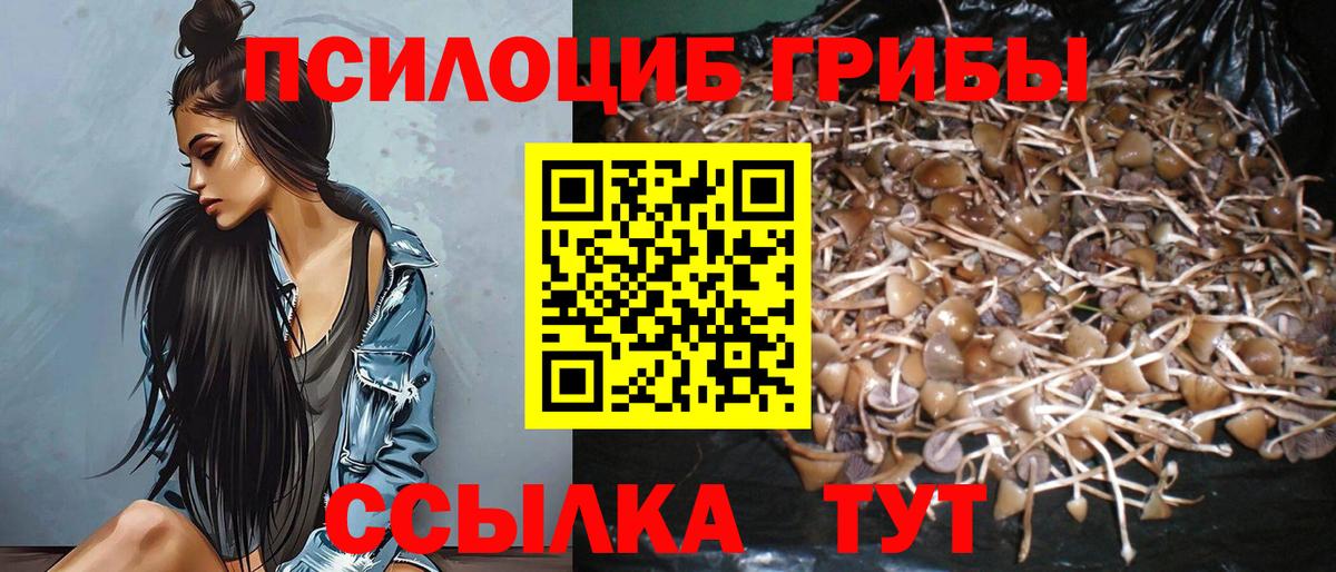 Галлюциногенные грибы GOLDEN TEACHER Советская Гавань